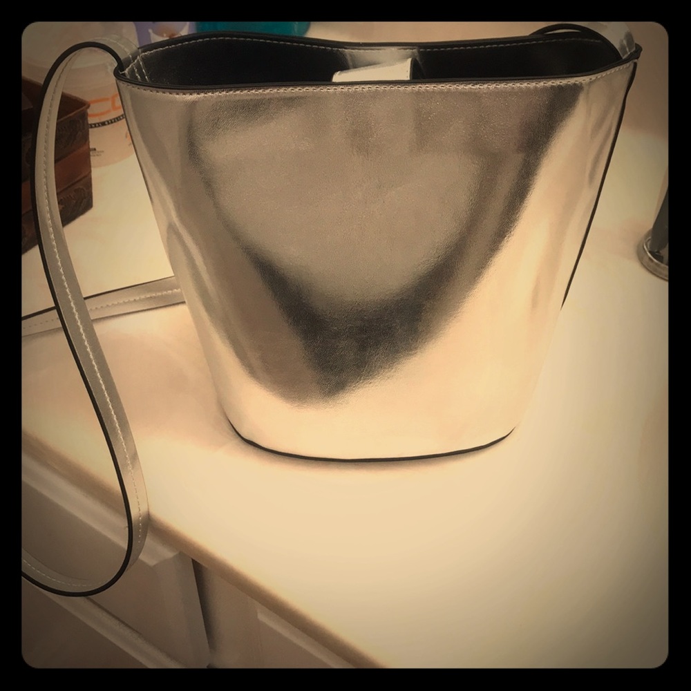 Silver purse